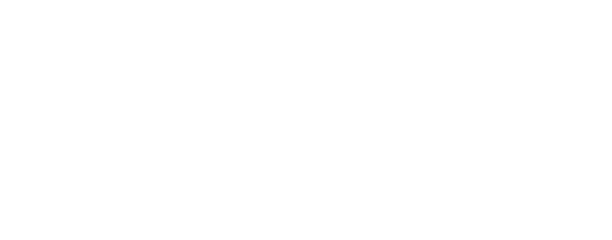 RIC 2026 · Regional Investment Connect